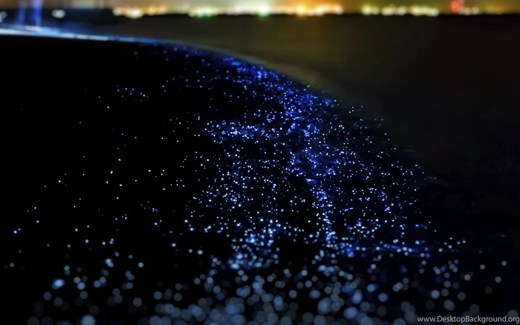 Dark Ocean Wave At Night Light Blink Wallpapers