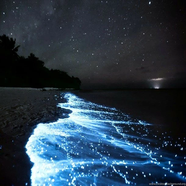 Good Night♥ Image