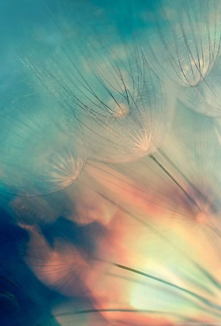 Huawei Ascend G510 Wallpapers On Pinterest