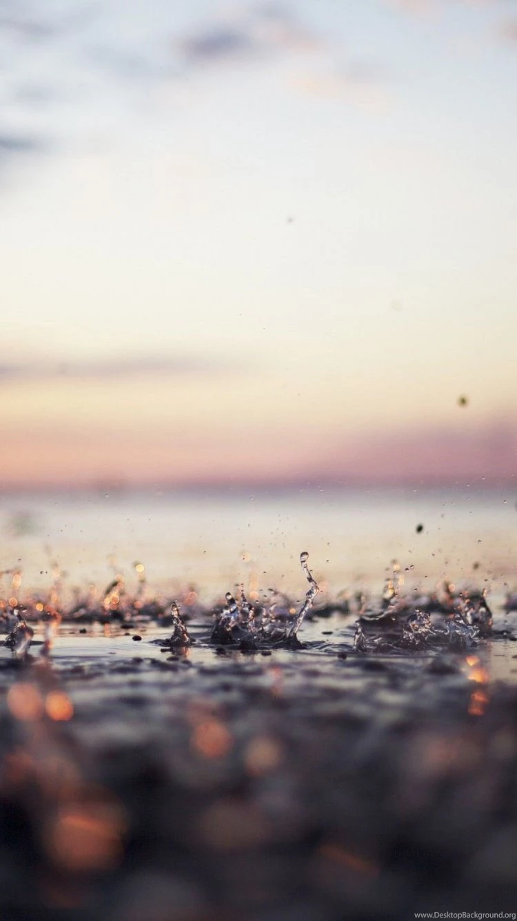 These Macro Iphone 6 Wallpapers Are Marvelous!! LOVE   Fashion Blog