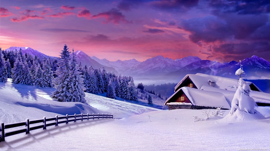 Winter Scenes
