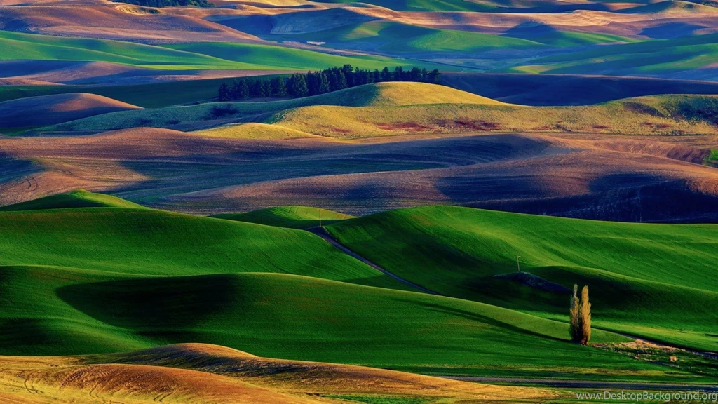 Nature Desktop Wallpapers