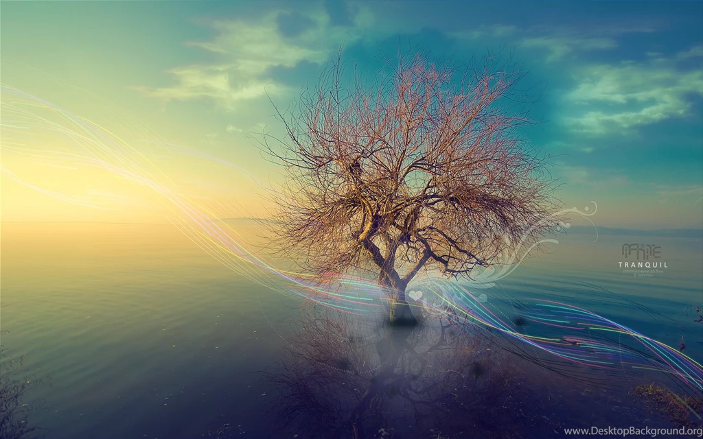 Dream Wallpapers