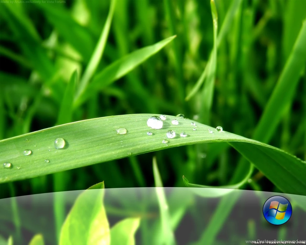 Wallpapers For PC Nature