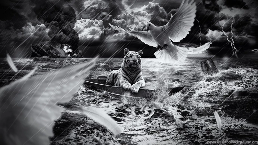 1366x768 Tiger In Boat Desktop PC And Mac Wallpapers