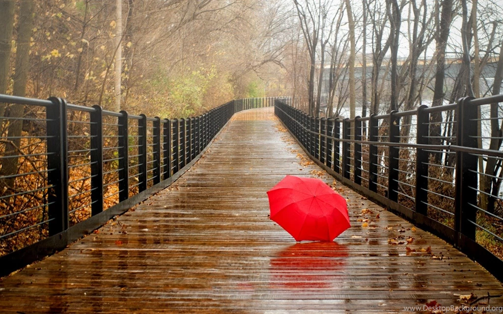 Lovely Rainy Day Wallpapers For PC