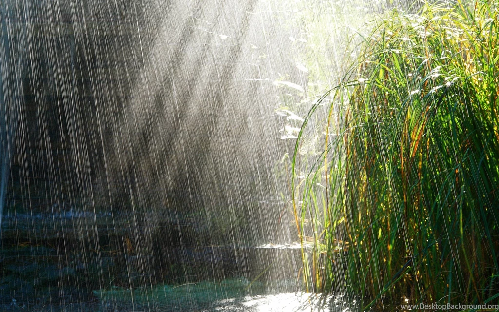 Rainy Day Wallpapers Wallpapers Cave