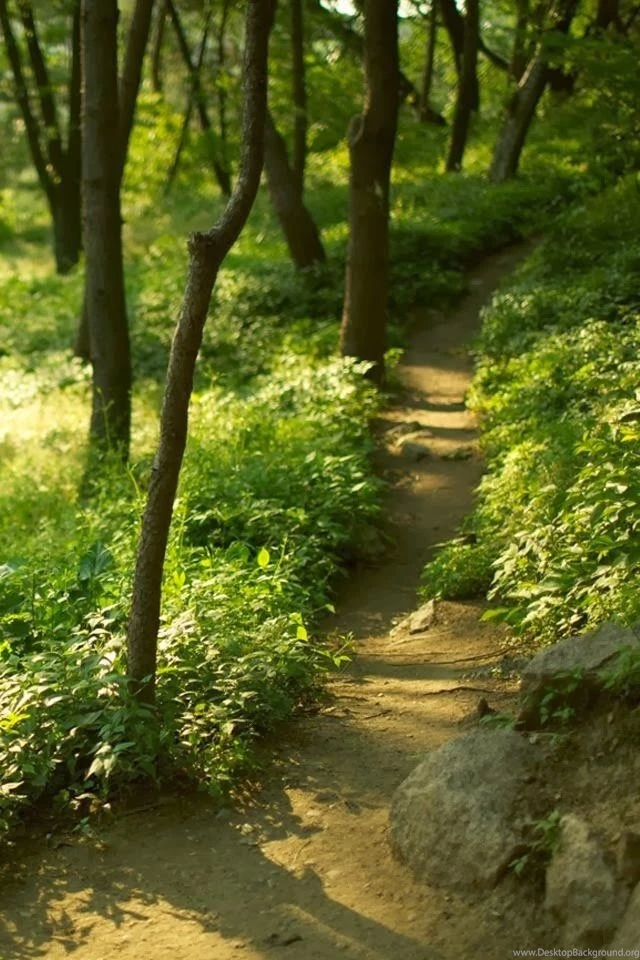 Iphone Nature Hd Wallpapers Free Download