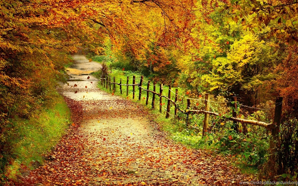 Autumn Wallpapers Free Download For Android AtozWallpapers