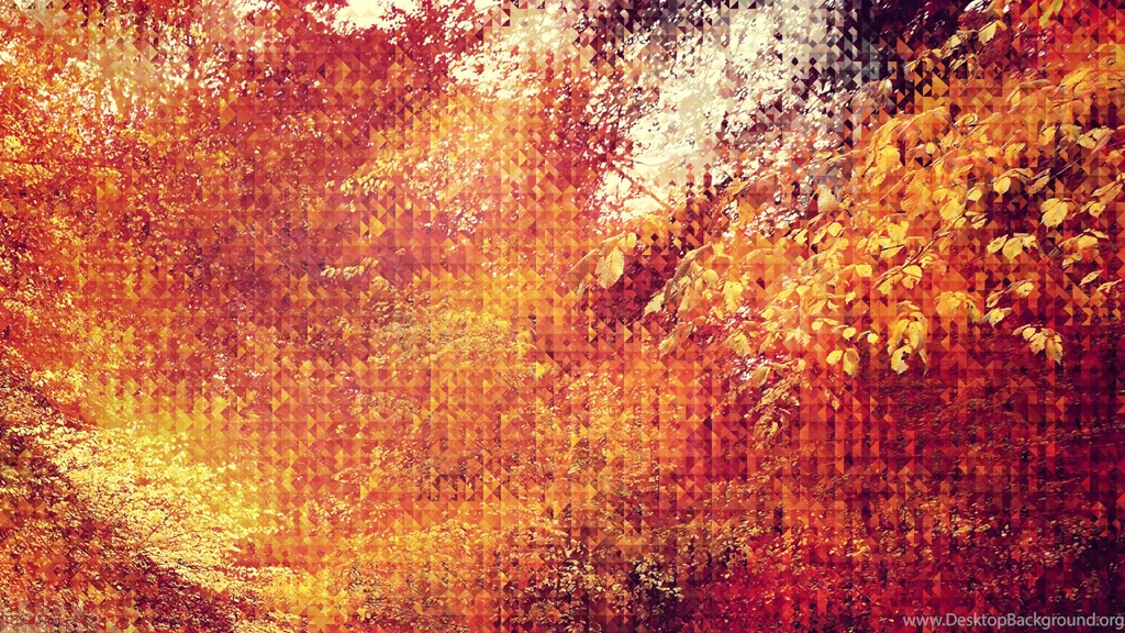 20 Autumn Wallpapers For Your Android
