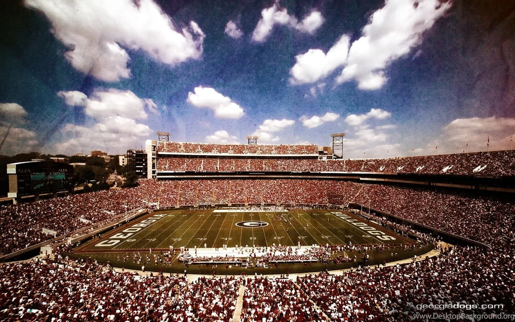 Sanford_wallpaper 1.jpg
