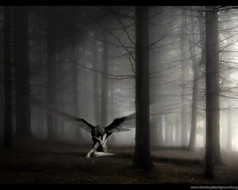 Wallpapers Blog: Raven Backgrounds