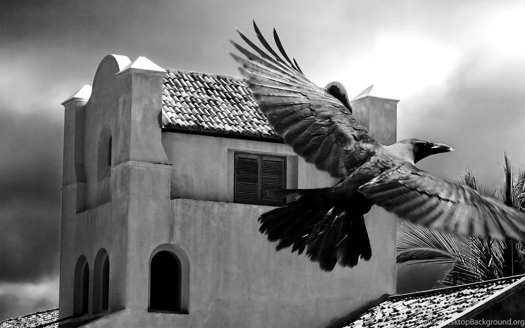 Backgrounds Collections: Raven Backgrounds