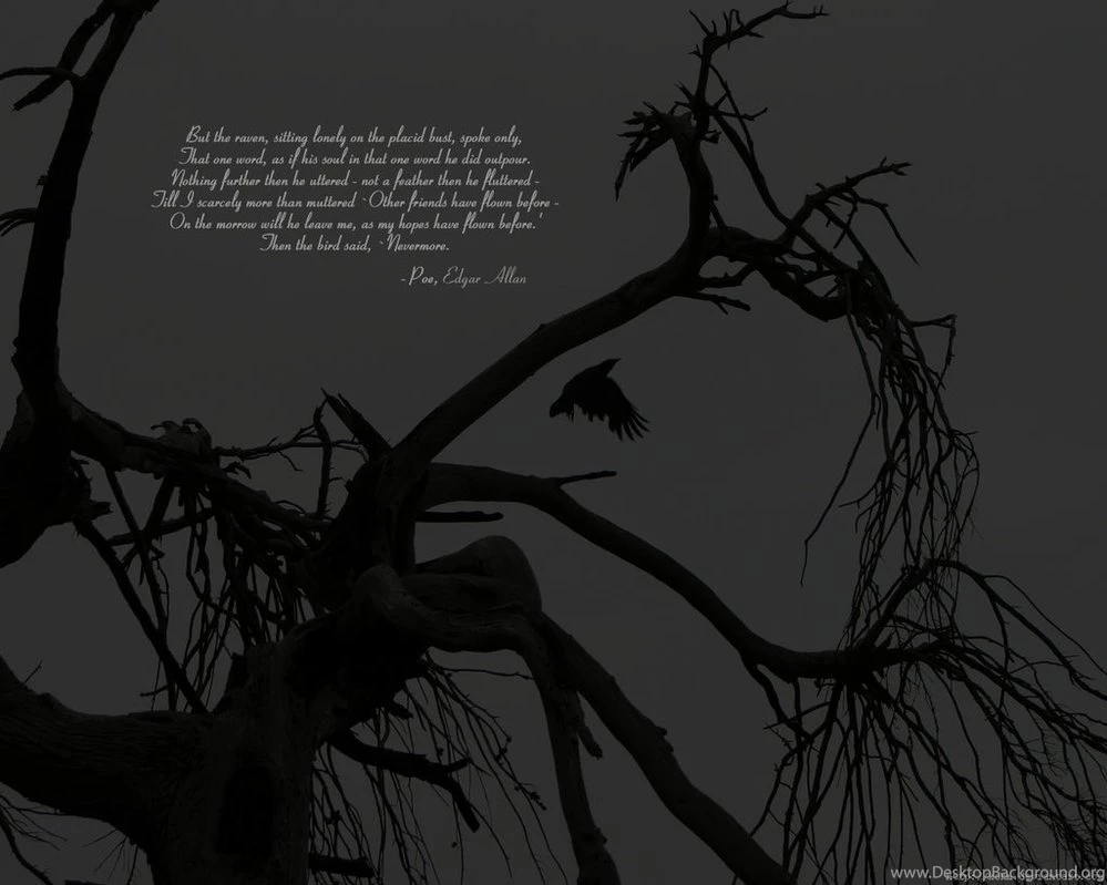 The Raven Wallpapers By KOhm On DeviantArt