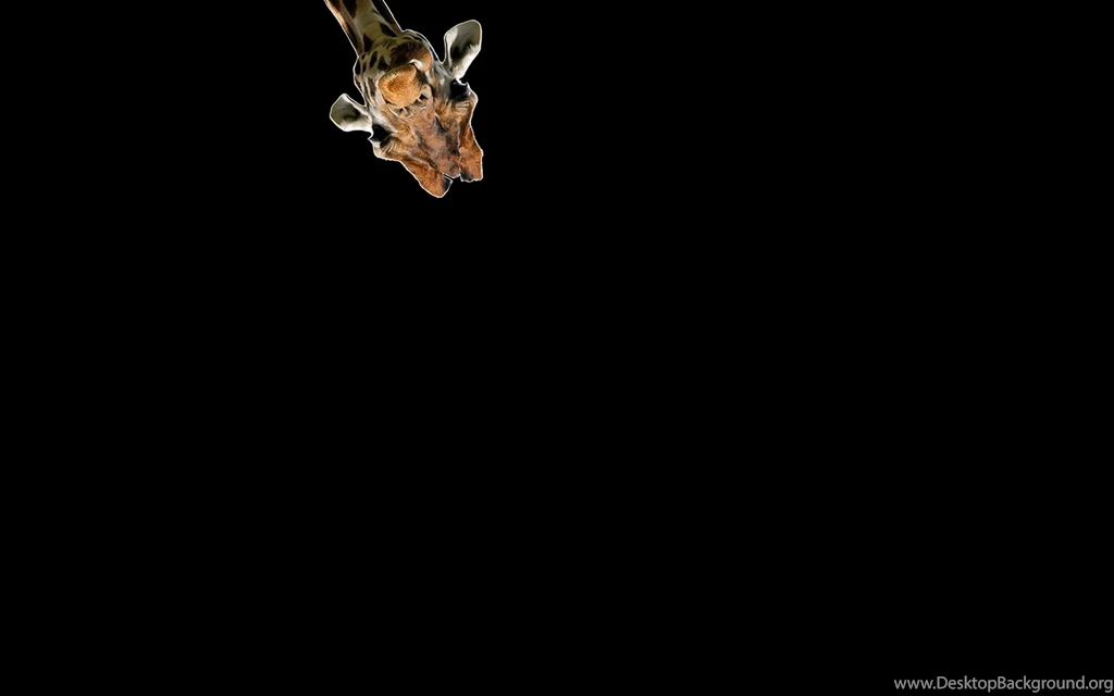 So I Created A New Desktop Backgrounds For My Dual Monitors At Work ...