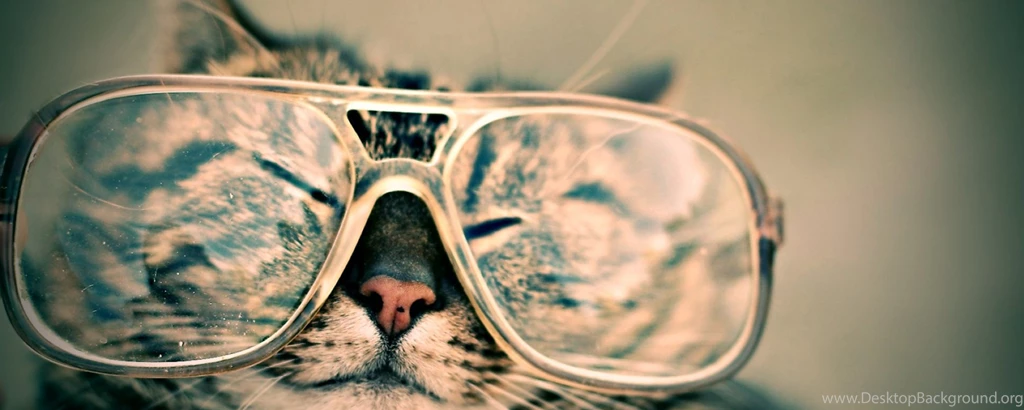 Download Wallpapers 2560x1024 Cat, Face, Glasses, Funny, Striped ...
