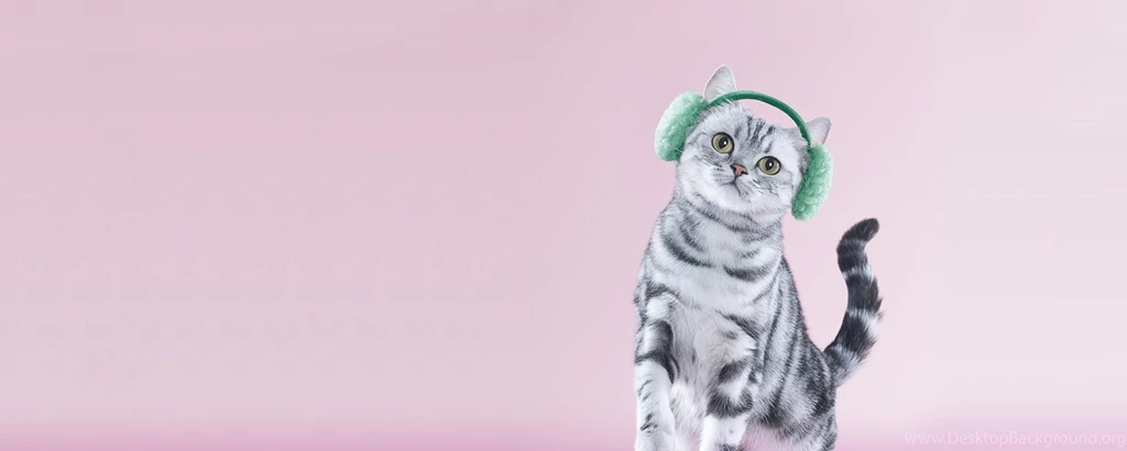 Download Wallpapers 2560x1024 Cat, Headphones, Lilac, Funny Dual ...