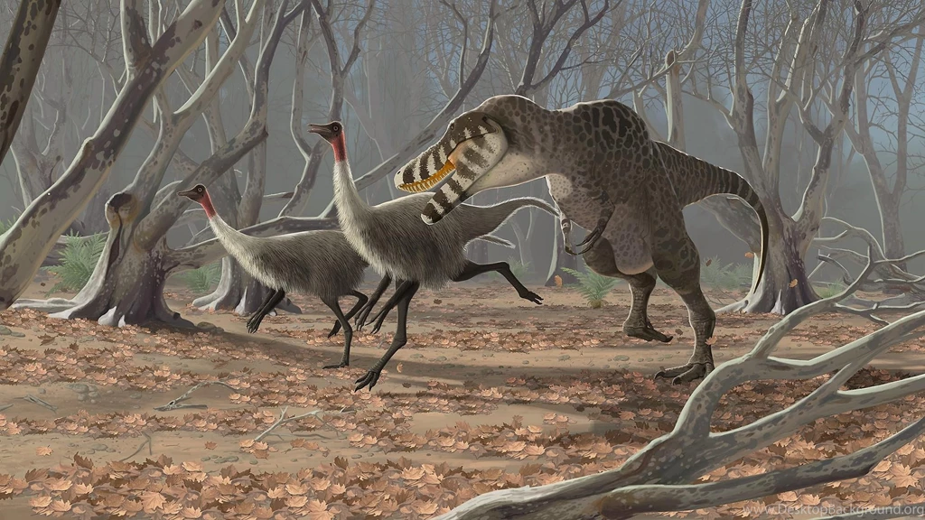Dinosaur Computer Wallpapers, Desktop Backgrounds
