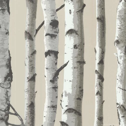 Irvin Grey Birch Tree Wallpapers At Menards®