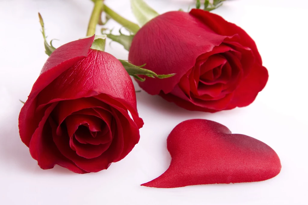 Red Rose Love Heart HD desktop Wallpapers