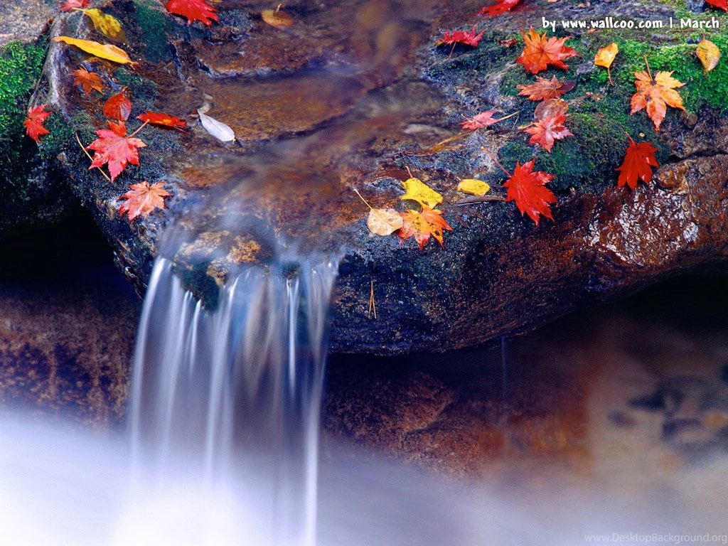High Definition Images Spring Season Spring Wallpapers Top ...