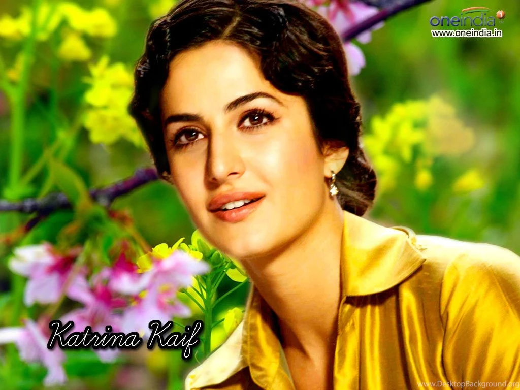Wallpapers Katrinakaif Bikini Actress Katrina Kaif 1024x768 ...