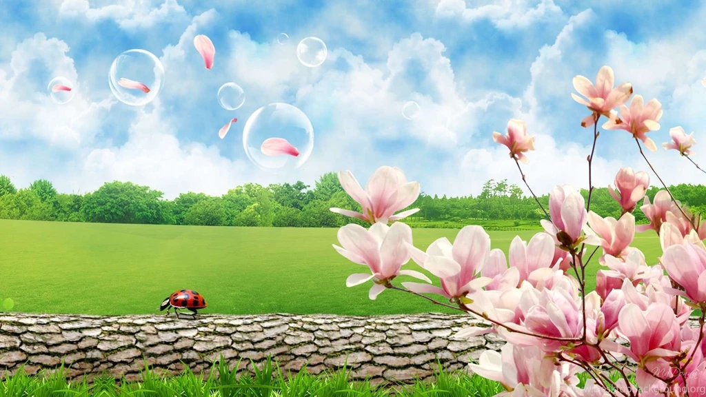 Beautiful Spring Season Android Wallpapers : Nature Wallpapers ...