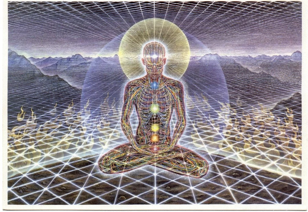 El Arte De Alex Grey 50 Imagenes Taringa!