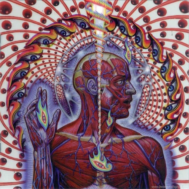 Alex Gray On Pinterest