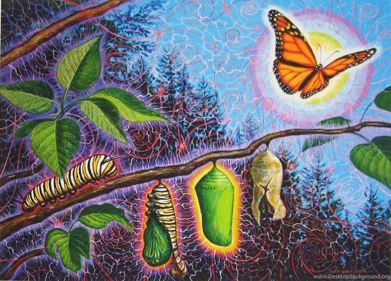 CoSM Blog: June 2011