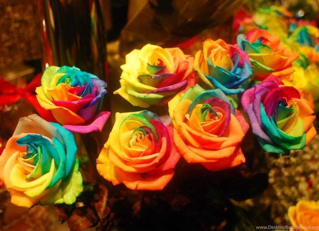 RAINBOW ROSES WALLPAPER (