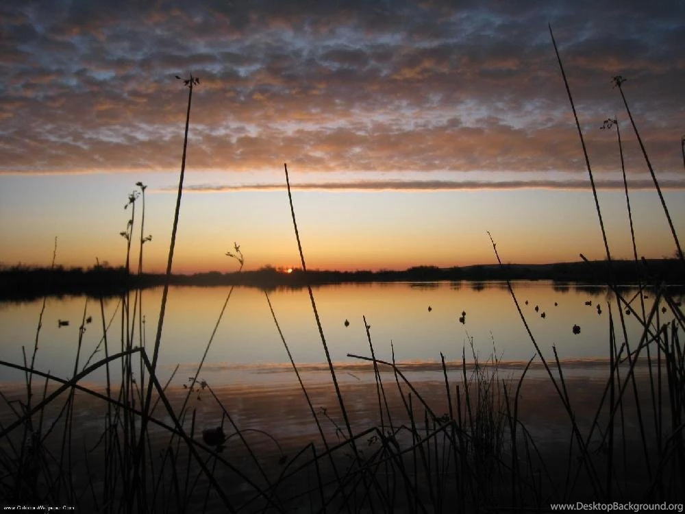 Duck Hunting Backgrounds Wallpapers Cave