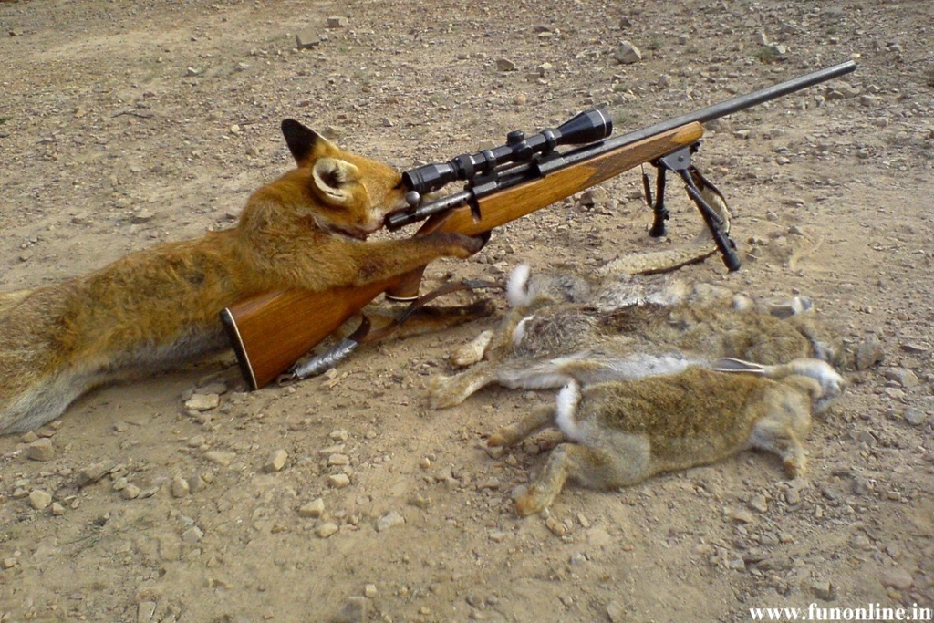 Funny Duck Hunting Pictures