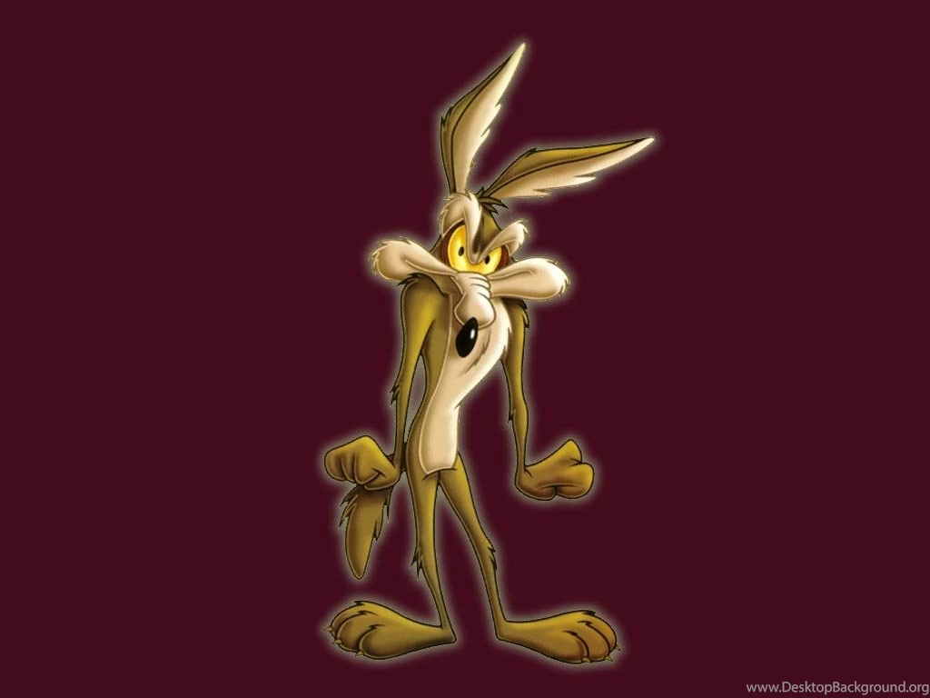 Wile Coyote Wallpapers : Wallpapers 7
