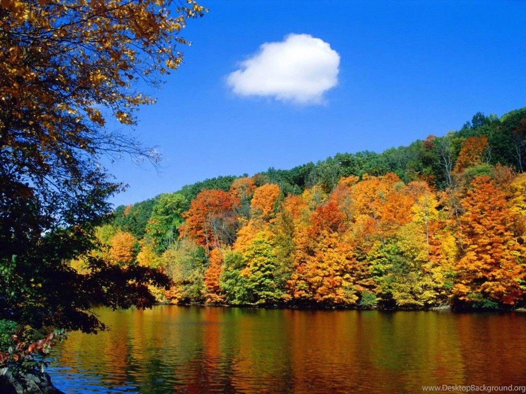 Desktop Wallpapers HD Large Size