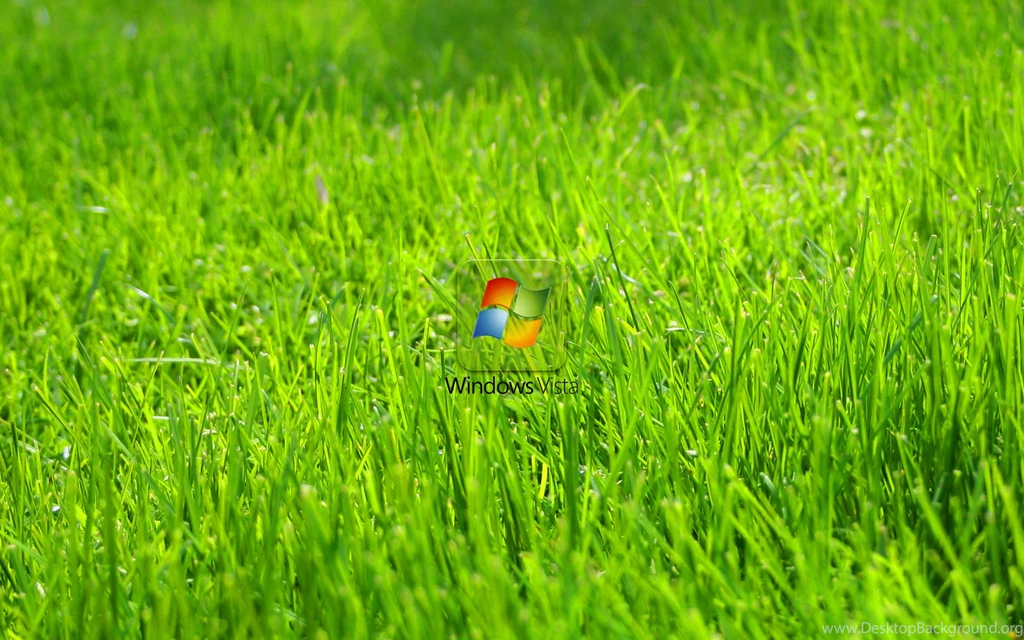 Grass Wallpapers 2015 Grasscloth Wallpapers