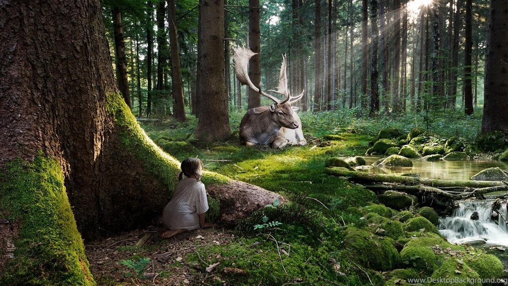 Wallpapers Forest Description Spring Fairytale Big Deer 1920x1080 ...