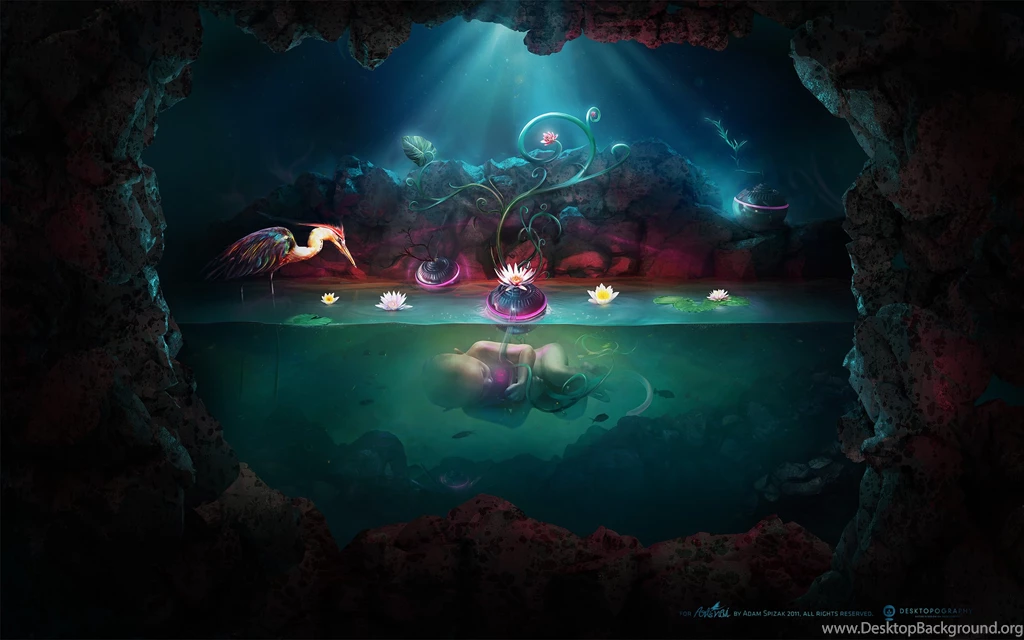 Wallpapers ArtisNavi.com