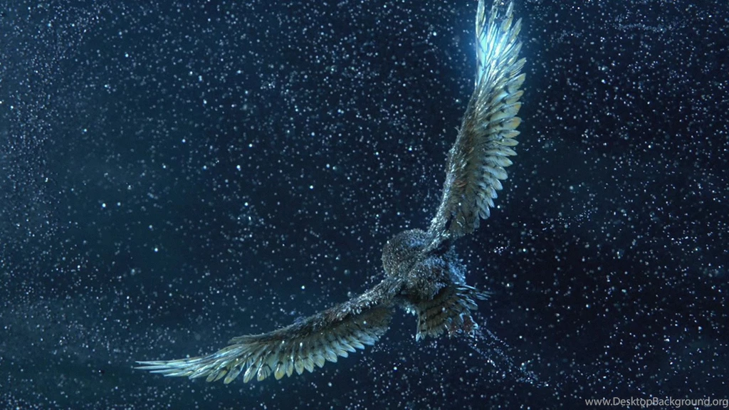 Www.thewallpapers.org