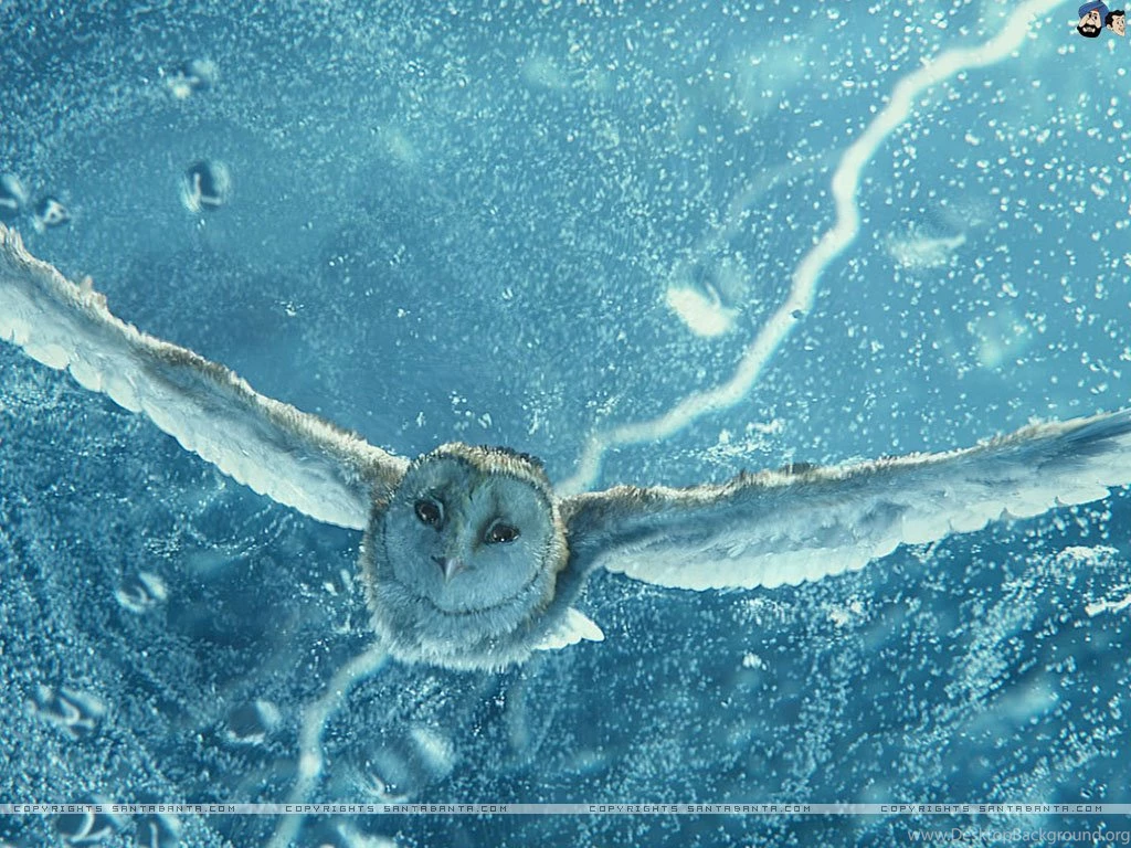 Legend Of The Guardians Movie Wallpapers