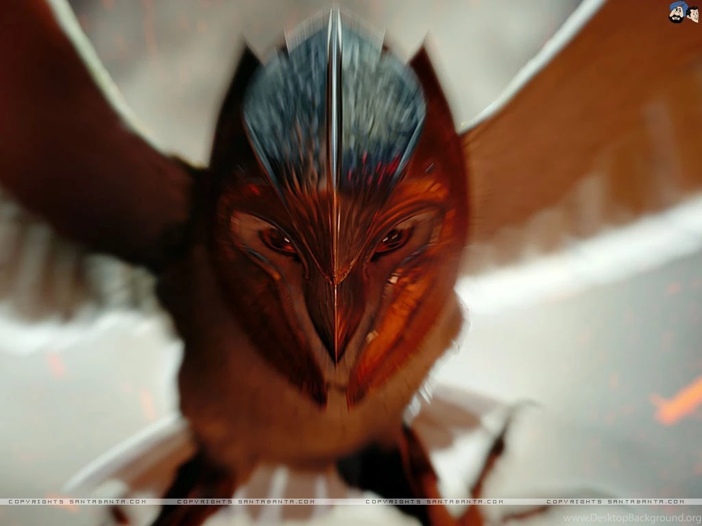 Legend Of The Guardians Movie Wallpapers