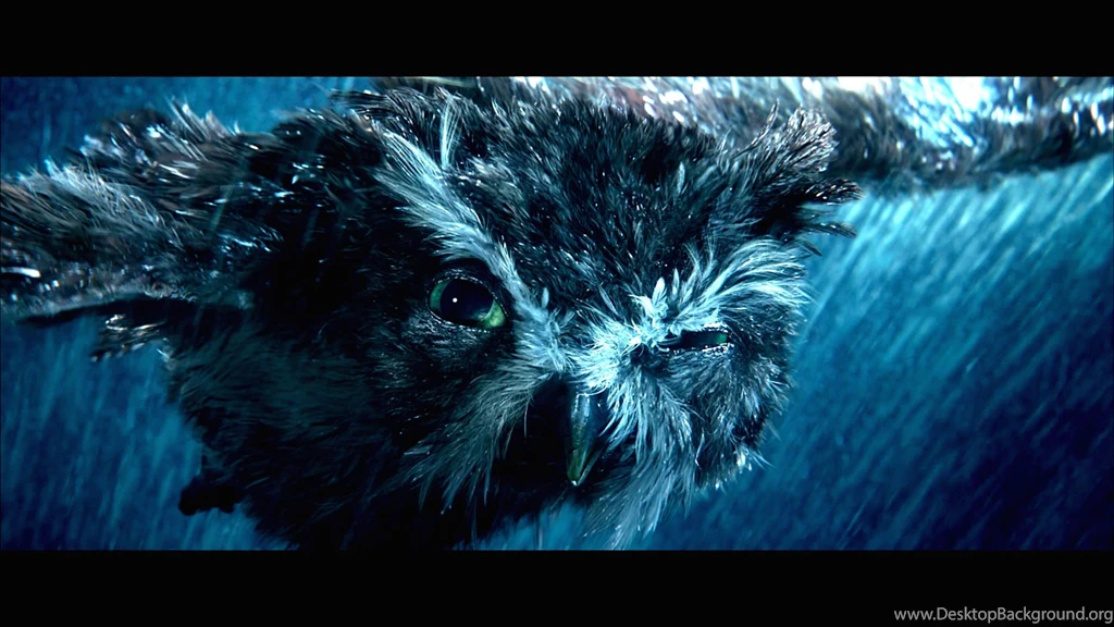 LEGEND GUARDIANS OWLS GAHOOLE Animation Fantasy Adventure Family ...