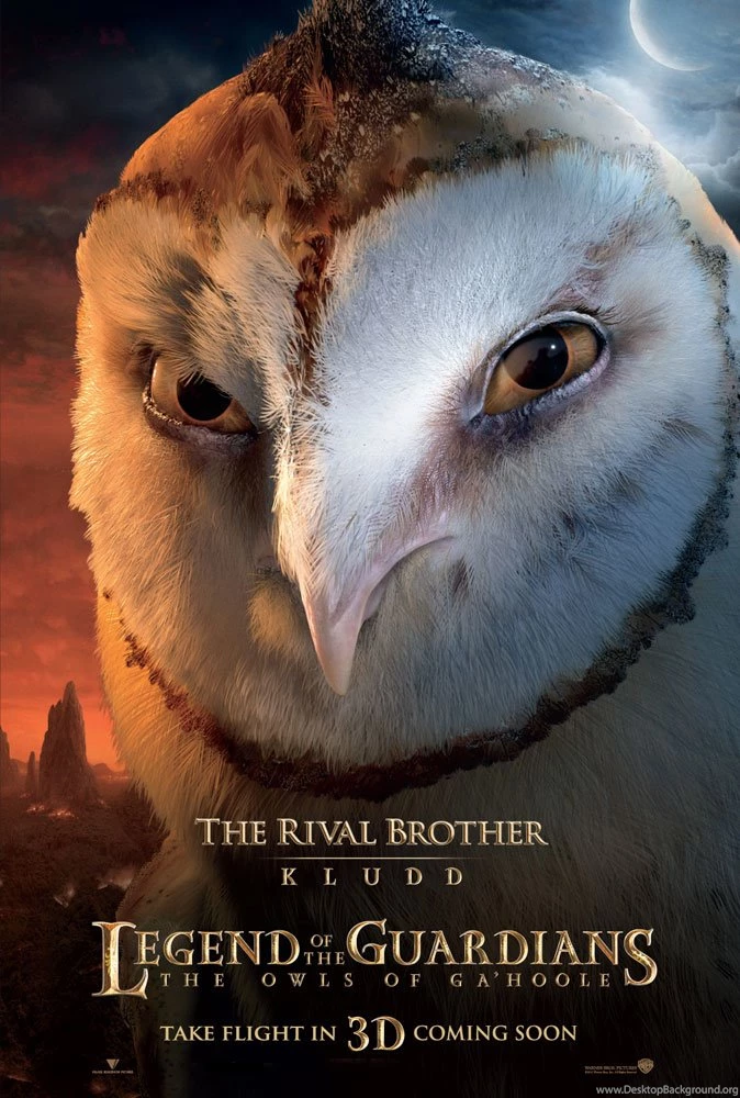 Kludd The Owl From Legend Of The Guardians Desktop Wallpapers