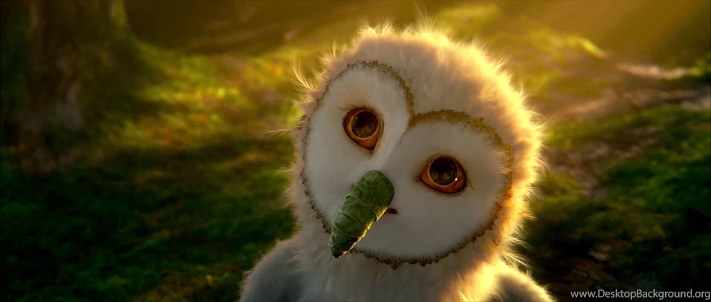 LEGEND GUARDIANS OWLS GAHOOLE Animation Fantasy Adventure Family ...
