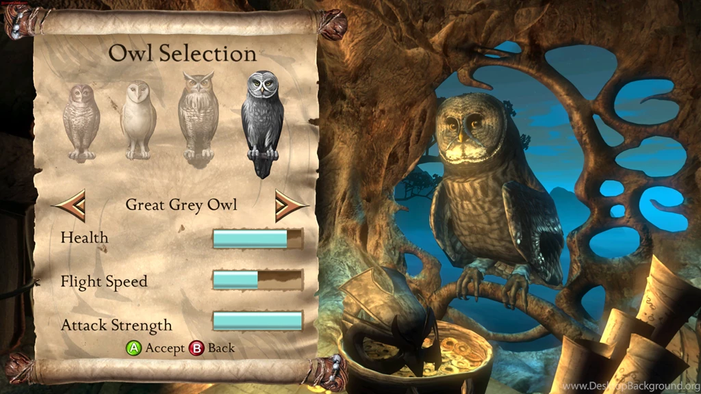 Legend Of The Guardians Owls Owl Birds Bird Fantasy Movies ...