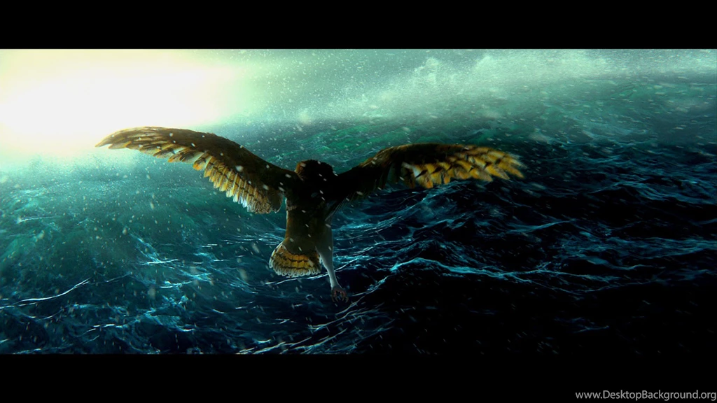 LEGEND GUARDIANS OWLS GAHOOLE Animation Fantasy Adventure Family ...