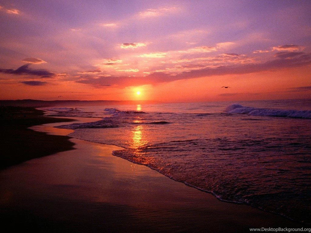 Beach Sunrise Backgrounds