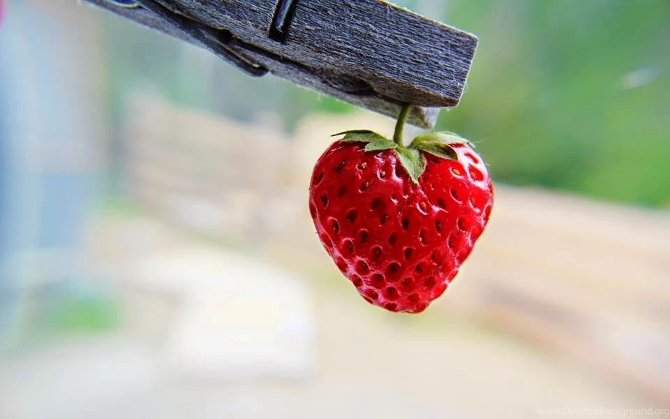 Nature Hearts Wallpapers Free Download