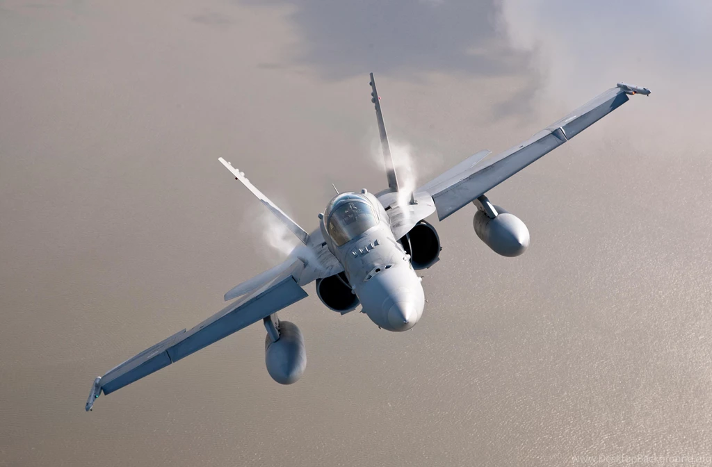 Finnish Air Force McDonnell Douglas F 18 Hornet
