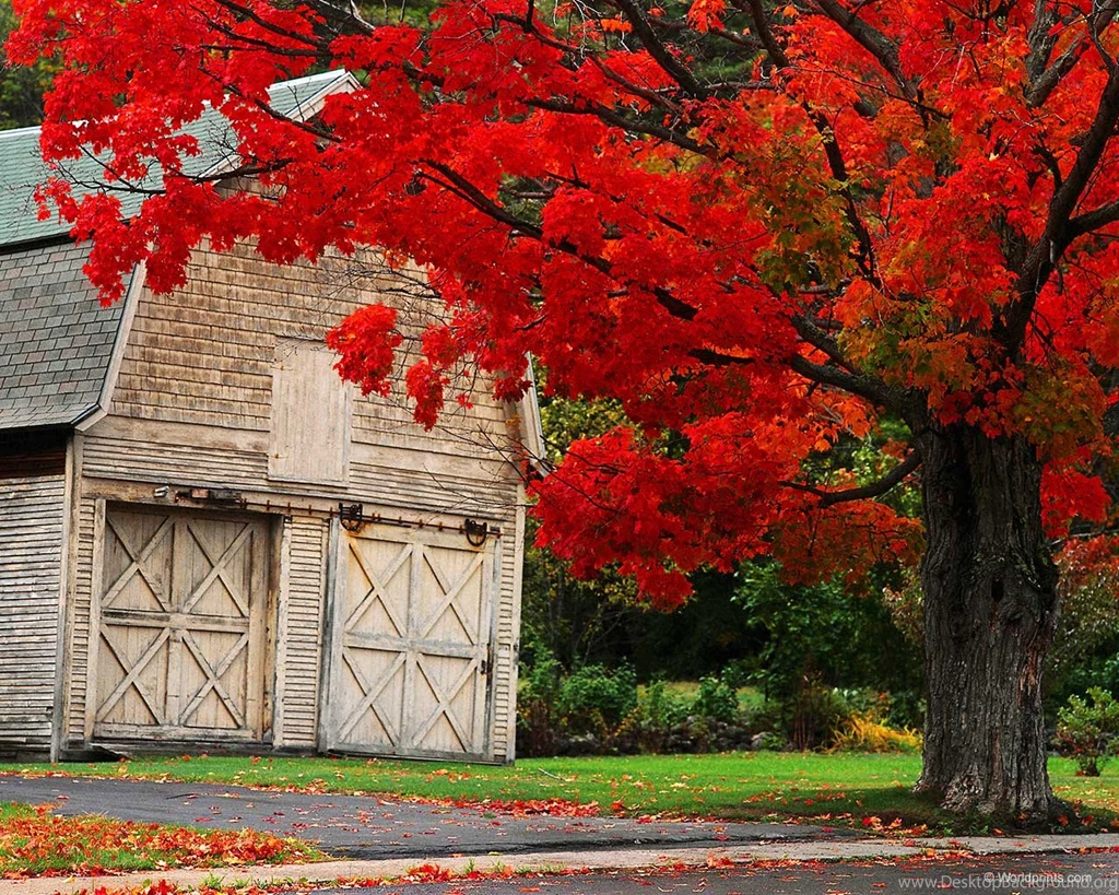 Autumn Wallpapers Desktop Wallpapers